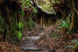 dsc_7188.jpg